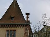 P1010708