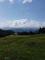 IMG-20180612-WA0020