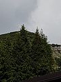 IMG-20180612-WA0030