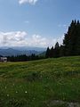 IMG-20180612-WA0031