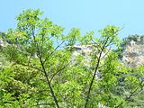 P1040469