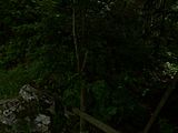 P1040592