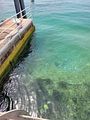 20220621_124151